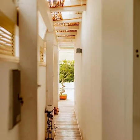 Interno 3 바리