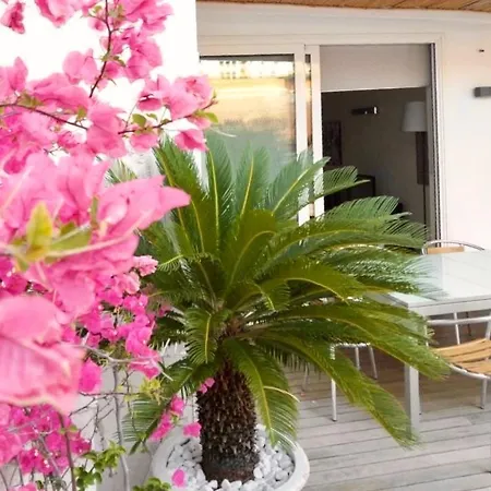 Interno 3 アパート バーリ