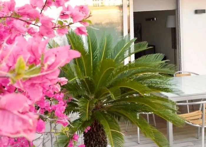 Interno 3 בית הארחה בארי